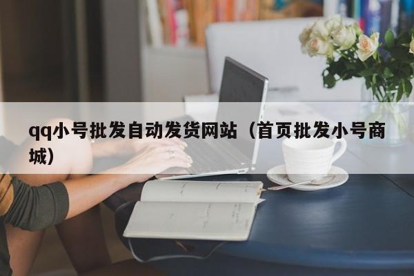 qq小号批发自动发货网站（首页批发小号商城）