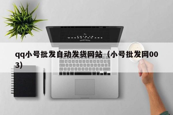 qq小号批发自动发货网站（小号批发网003）