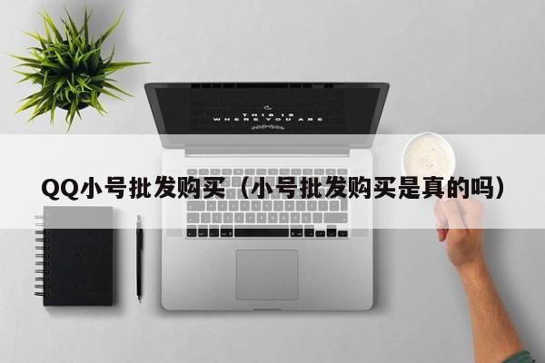 QQ小号批发购买（小号批发购买是真的吗）