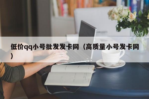 低价qq小号批发发卡网（高质量小号发卡网）