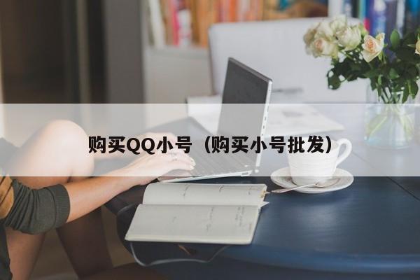购买QQ小号（购买小号批发）