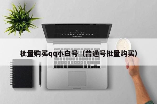 批量购买qq小白号（普通号批量购买）
