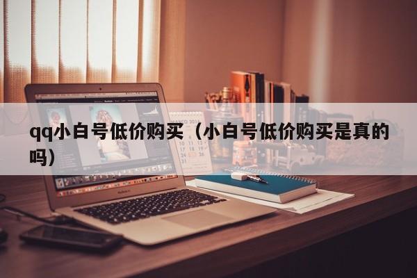 qq小白号低价购买（小白号低价购买是真的吗）