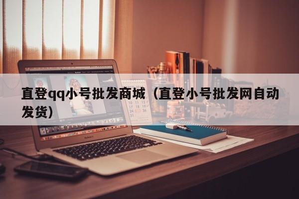 直登qq小号批发商城（直登小号批发网自动发货）