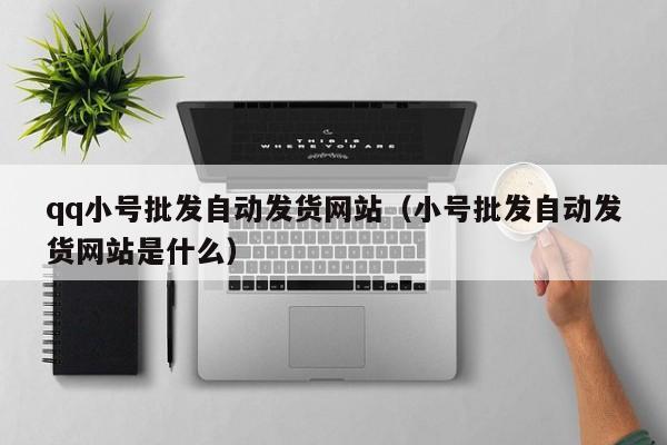 qq小号批发自动发货网站（小号批发自动发货网站是什么）