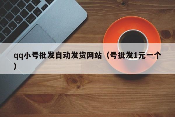 qq小号批发自动发货网站（号批发1元一个）
