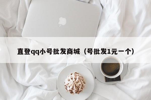 直登qq小号批发商城（号批发1元一个）