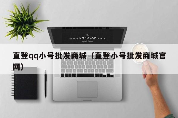 直登qq小号批发商城（直登小号批发商城官网）